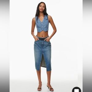 Aritzia 90s Halle Denim Skirt